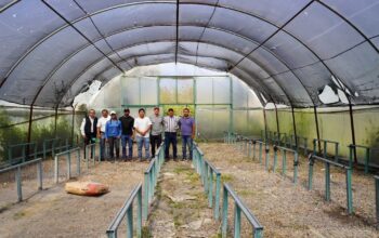 Impulsan sistema acuapónico sustentable en SLP