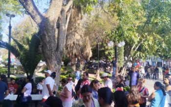 Aplican 8 mil vacunas en módulos