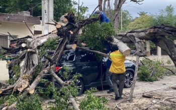 En enero, PC municipal prestó 121 atenciones en Valles