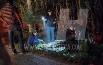 Tragedia en la carretera estatal; motociclista fallece en el tramo a La Lima