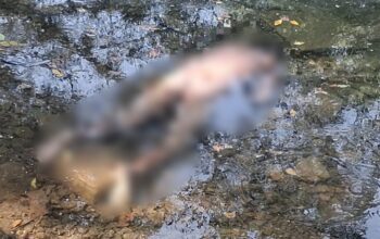 Muerte en Poza Redonda revive antigua leyenda en Huehuetlán