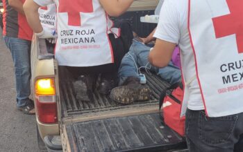 Motociclistas heridos en dos percances movilizan a cuerpos de auxilio en Valles
