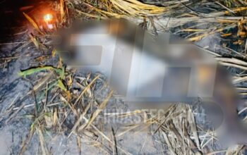 Localizan a hombre sin vida entre cañaverales rumbo a El Sidral