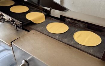 Servicios de apoyo social se mantienen en días santos