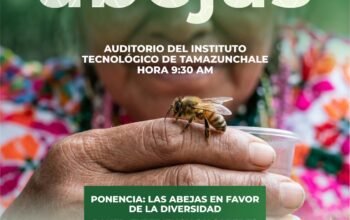 Gobierno Estatal impulsa celebración del Día Mundial de las abejas
