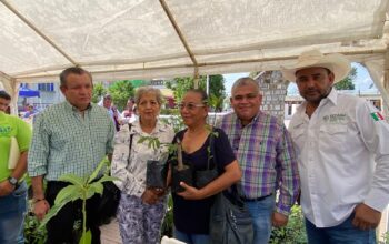 Entregarán un millón de árboles con plan Estatal de Reforestación