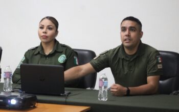 Refuerzan coordinación con asociaciones civiles contra el maltrato infantil