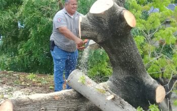 Protección Civil atendió reportes por lluvias y fuertes vientos en Ciudad Valles