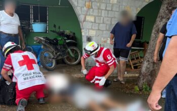 Murió tras varios días hospitalizado luego de accidente mientras podaba un árbol