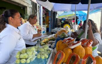 Inicia censo para el reordenamiento de comerciantes de mercados municipales
