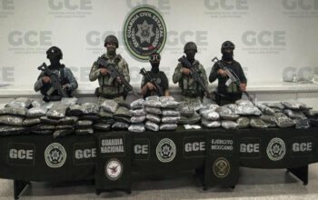 Aseguran 69 kilos de marihuana durante operativo conjunto en la capital potosina