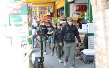 Capturan a 29 personas en distintos puntos del estado, por varios delitos