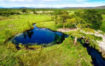 Avanza la protección de Los Peroles en Rioverde