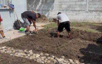 Inpojuve lleva huertos urbanos a clínicas de rehabilitación